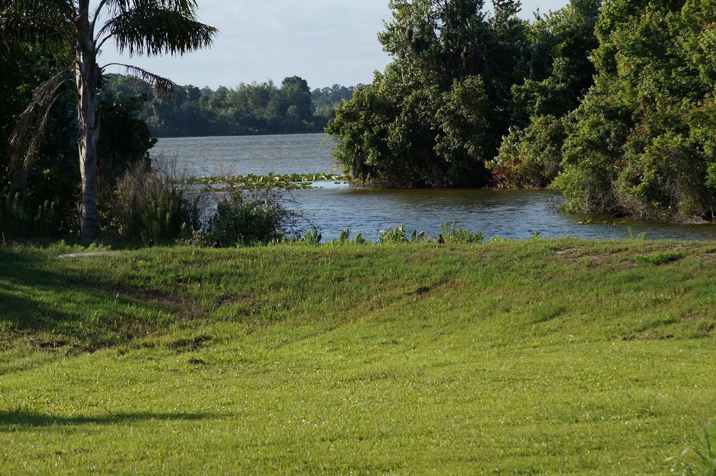 Villa Met Prive Zwembad Nabij Orlando Optional Heated Pool Dundee Ruang foto